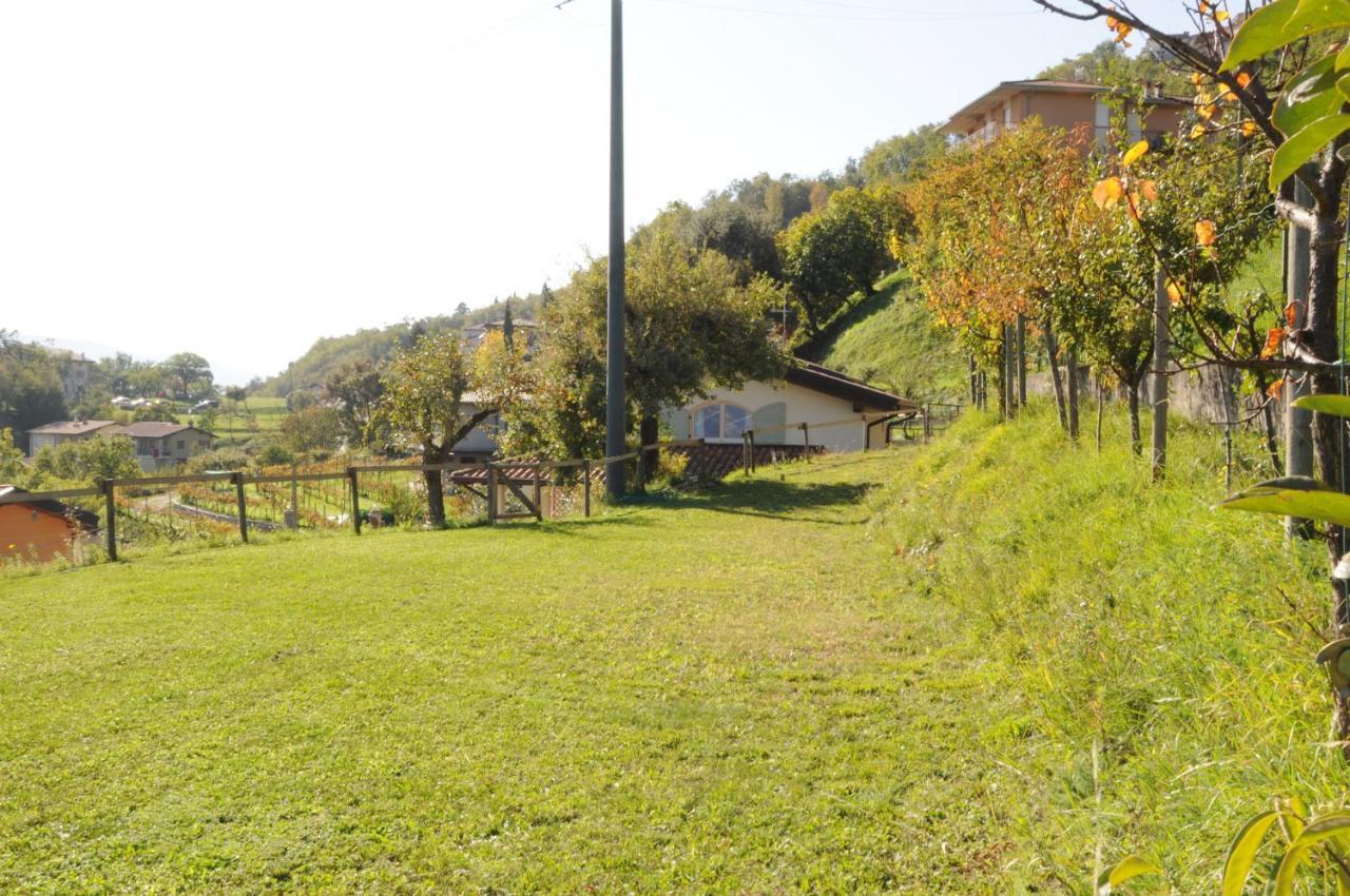 Villetta 56 Blu Yellow And Red Lake View Garden Private Parking By Garda Domus Mea Tremosine Extérieur photo